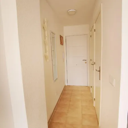 Calme Casa 公寓 托雷维耶哈