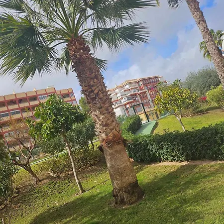 公寓 Calme Casa 托雷维耶哈